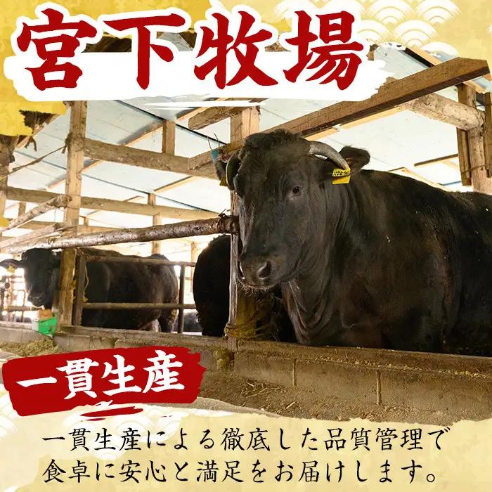 No.606 鹿児島県産黒毛和牛すきしゃぶ用ロース肉(600g)国産 九州産 牛肉 黒毛和牛 和牛 ロース スライス 数量限定 すき焼き しゃぶしゃぶ 冷凍【さつま屋産業】