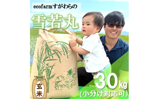 【令和8年産・玄米】ecofarmすがわらの庄内米雪若丸30kg※10月上旬頃から順次配送