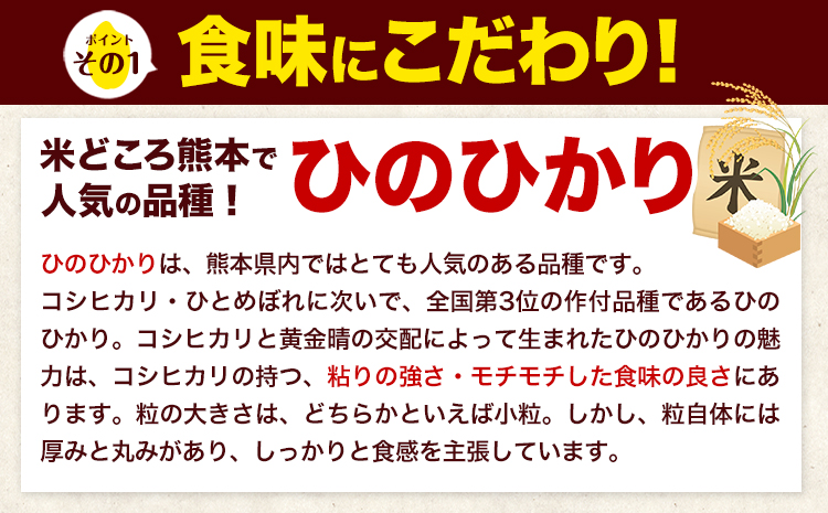 令和6年産 新米 早期先行予約受付中 ひのひかり 白米 20kg 《11月‐12月より出荷予定》 熊本県産 白米 精米 氷川町 ひの 送料無料 ヒノヒカリ コメ 便利 ブランド米 お米 おこめ 熊本 