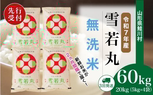 
            ＜令和7年産米先行受付＞ 鮭川村 雪若丸 【無洗米】 定期便 60kg （20kg×2ヶ月間隔で3回お届け）＜配送時期選べます＞
          