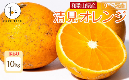 
            訳あり 森本農園の手選別 清見オレンジ 約10kg 和歌山県産 サイズ混合 ［北海道・沖縄・離島配送不可］［RN49］［2026年2月上旬から5月中旬頃順次発送予定］
          