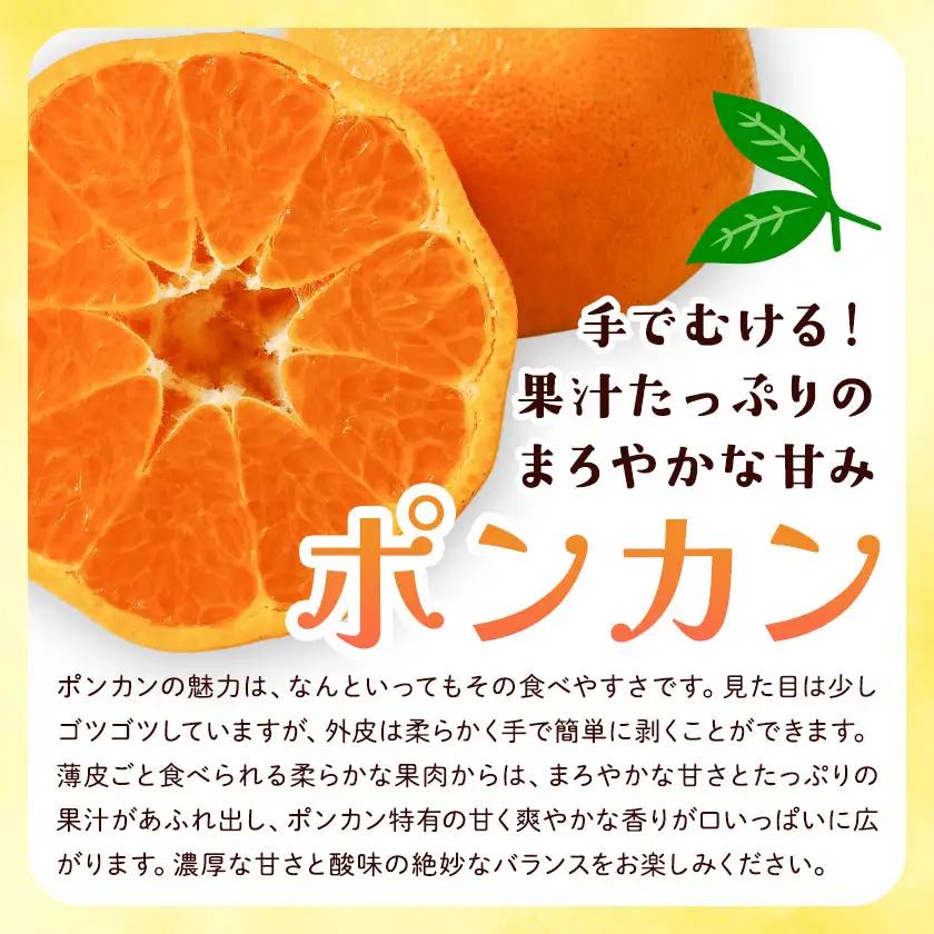 訳あり ポンカン サイズ混合 7.5kg エイワ商店