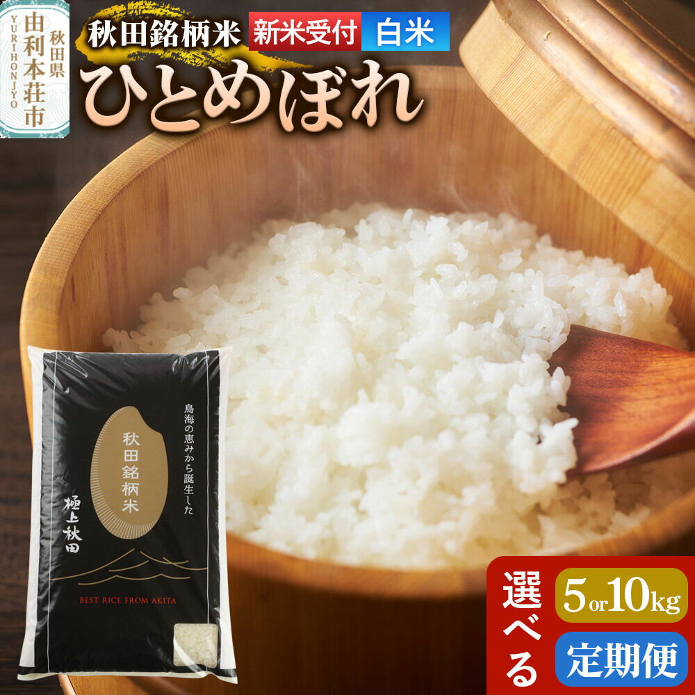 【ふるさと納税】《令和8年産 新米受付》【白米】極上秋田銘柄米 ひとめぼれ【選べる容量 5kg／10kg＋お届け回数 1回〜】定期便 小分け袋 [新米受付 米 お米 こめ 白米 精米 ひとめぼれ ブランド米 銘柄米 食卓 おにぎり 秋田県産 秋田県]