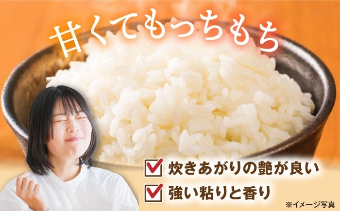  白米 コシヒカリ 18kg 米 お米 コメ 精米 kome こしひかり ご飯 ごはん ゴハン おにぎり 人気 おすすめ 長浜市
