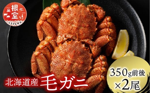 A-21001【12/21まで年内配送】 浜ゆで毛がに350g前後×2尾 ふるさと納税 北海道 根室 ボイル 毛ガニ カニ 蟹 かに 海鮮 人気
