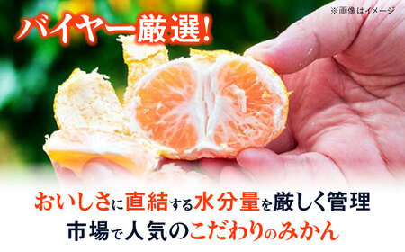 みかん 10kg（早生）【贈答】  みかん 愛媛[AGAR009]