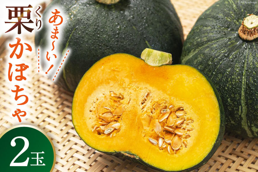 
                  【期間限定発送】 野菜 栗カボチャ 2玉 [たくちゃんの野菜農園 宮崎県 日向市 452060909] かぼちゃ 南瓜 カボチャ 完熟 甘い ホクホク ほっこり133 ブラックのジョー 国産
                
