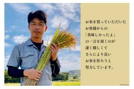 【北海道で一番食べられているお米】 令和5年 米 ななつぼし 5合(750g)【郵便受けにお届け】[武山農園 北海道 剣淵町 14656217]