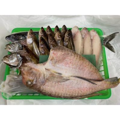 ふるさと納税 宮津市 海の京都 橋立やまいちの干物セット 贈答用 E[ 一夜干し ギフト ]