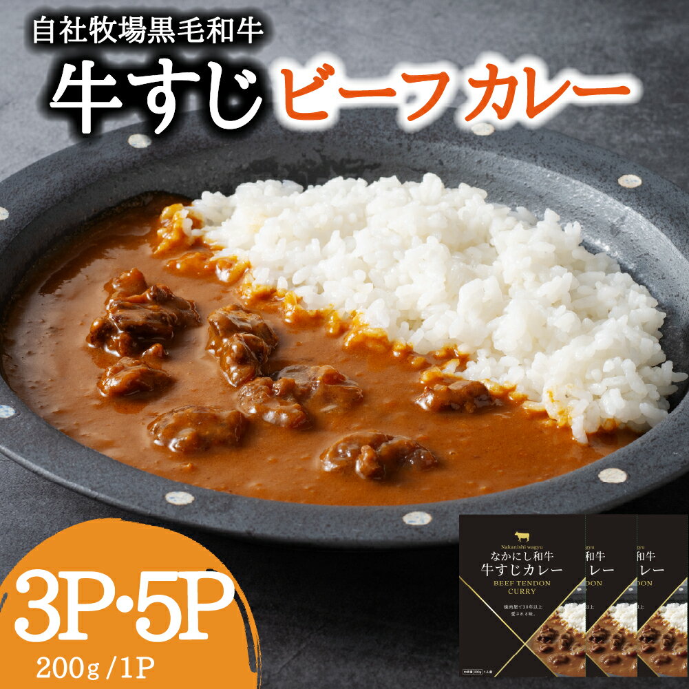【ふるさと納税】宮崎県西ノ原牧場・黒毛和牛 牛すじ ビーフカレー 3P・5P 牛肉 国産 和牛 牛スジ カレー レトルト 簡単調理