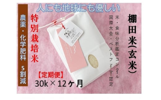【2025年産新米】【12ヶ月定期便】【農薬化学肥料5割減】魚沼コシヒカリ 苗場プリンセス 特別栽培米 玄米 30kg（30kg×1袋）計360kg