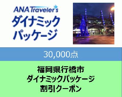 福岡県行橋市　ANAトラベラーズダイナミックパッケージ割引クーポン30,000点分