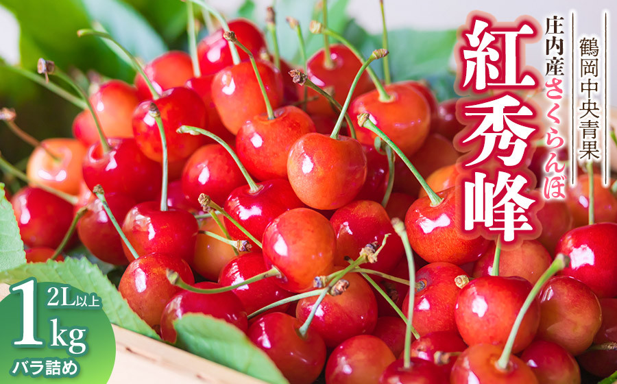 
            【令和7年産】さくらんぼ 紅秀峰　バラ詰め1kg　2Lサイズ以上　鶴岡中央青果
          