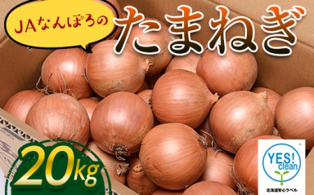 《期間限定》なんぽろたまねぎ 20kg  玉葱 玉ねぎ たまねぎ タマネギ 野菜 食品 北海道 南幌町 NP1-272