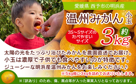 ＜訳あり 温州みかん 小玉 約3kg＞ 明浜産 果物 フルーツ みかん 蜜柑 ミカン うんしゅうみかん ウンシュウミカン オレンジ 柑橘 家庭用 食べて応援 特産品 浜のみかん屋 直送 愛媛県 西予市