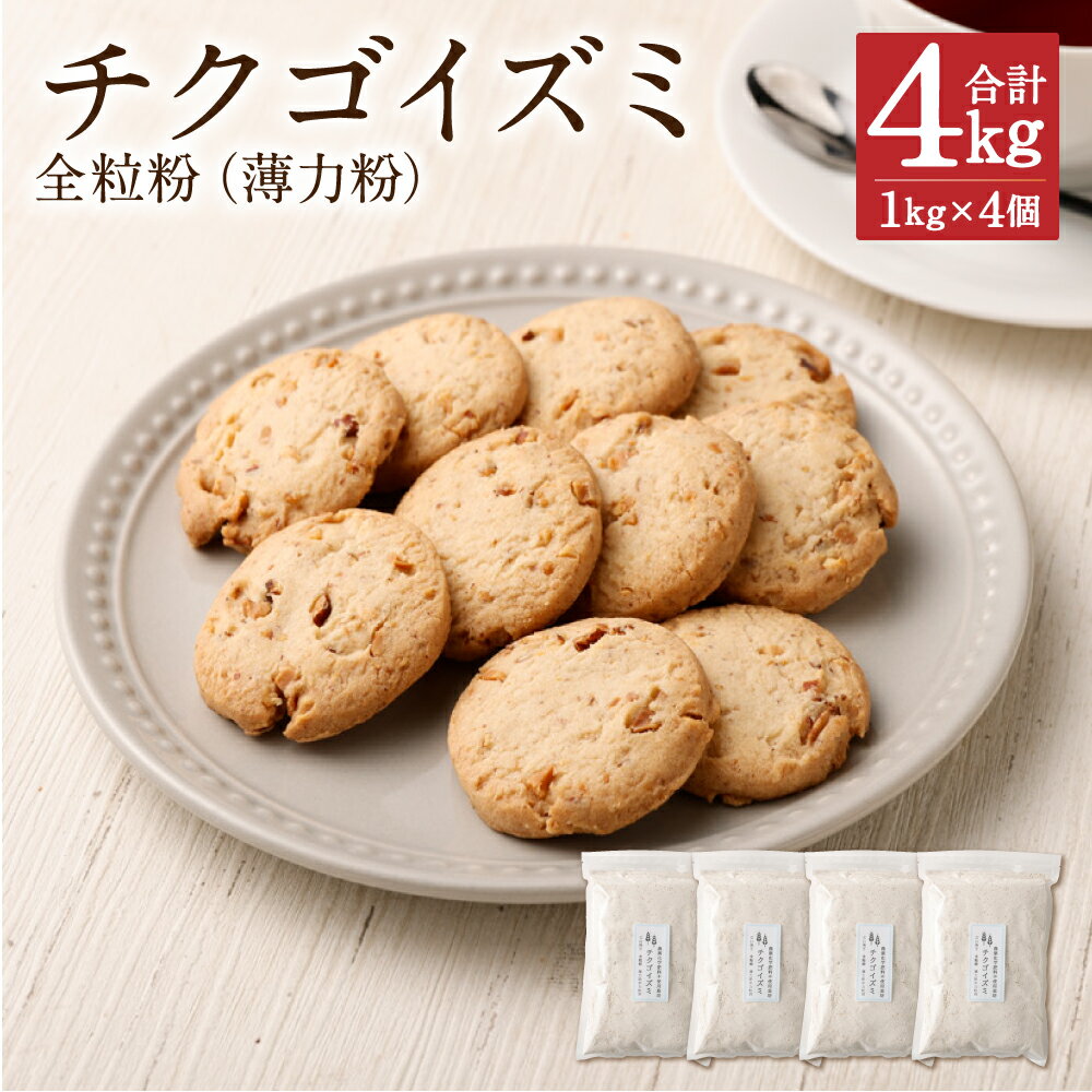 【ふるさと納税】チクゴイズミ 全粒粉 1kg×4個 合計4kg 粉 薄力粉 中力粉 うどん作り お菓子作り 栽培期間中農薬不使用 九州産 福岡県筑後市産 国産 送料無料