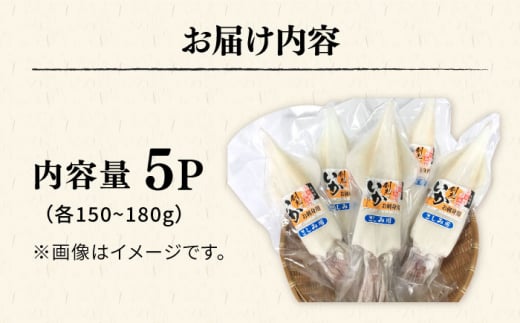 剣先イカ 5本 セット【丸徳水産】《対馬市》鮮度抜群 新鮮 ケンサキイカ シロイカ 下処理済 刺身 BBQ 惣菜 天ぷら フライ 海鮮 [WAE011]冷凍 あかいか 剣先いか 簡単調理 もう1品 処