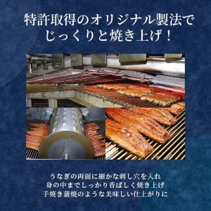 【定期便 3ヶ月】 うなぎ 蒲焼 2尾 国産 うなぎ