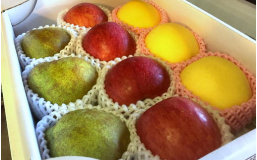 07-02-030　天童“冬のフルーツ三選”詰合せ3kg