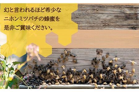 【先行予約】ニホンミツバチ 生蜂蜜 600g×3（化粧箱付き） 【2026年6月中旬以降順次発送】《壱岐市》【憲ちゃんハチミツ】[JCL007]  ハチミツ 蜂蜜 日本蜜蜂 ジャム 贅沢 高級 ギフト