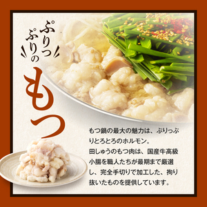 田しゅうもつ鍋セット味噌味2～3人前_田しゅう もつ鍋 セット 味噌味 醤油味 2～3人前 博多 郷土料理 こだわり 国産 牛 もつ 職人 厳選 手切り にんにく 出汁 旨味 リピート ちゃんぽん麺 