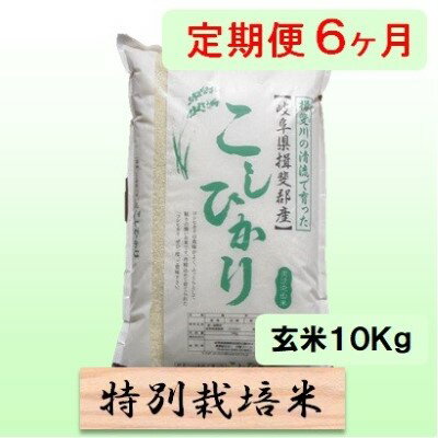 【ふるさと納税】特別栽培米★[定期便] 6カ月★毎月 玄米10kg【コシヒカリ】 お米 ブランド米 銘柄米 ご飯 バランスが良い お米の王様 　お届け：2025年10月上旬～2026年11月下旬