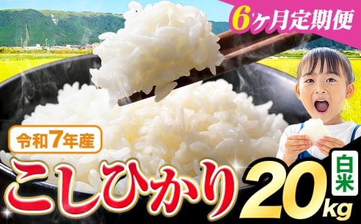 【6ヶ月定期便】令和7年産  白米 こしひかり 20kg(5kg×4袋)《お申込みの翌月出荷》熊本県産 ふるさと納税 白米 精米 ひの 米 こめ ふるさとのうぜい コシヒカリ コメ お米 おこめ