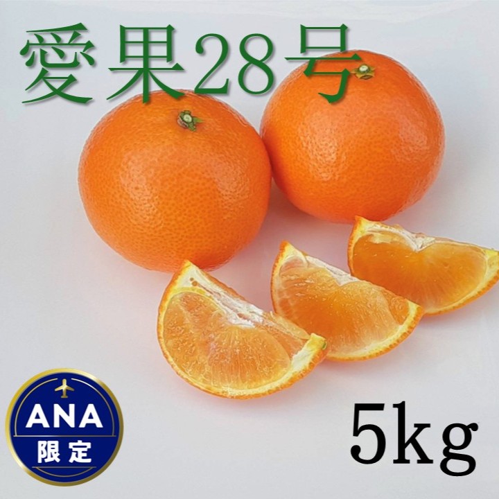 みかん 愛媛 愛果28号 5kg 家庭用 人気 数量限定 先行予約  柑橘 伊予市【2025年11月下旬以降順次発送】｜C120