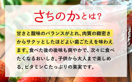 【1月発送】宇城市産いちご「さちのか」約250g×4パック【わたなべいちご園】