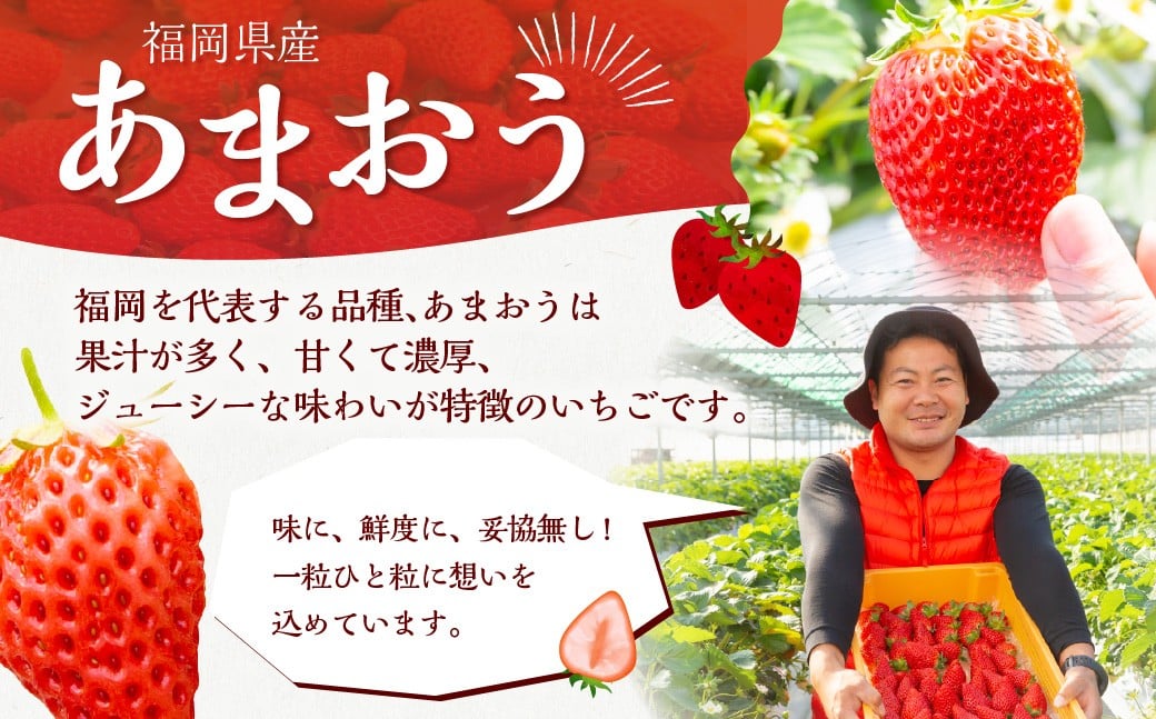 よかもんいちご あまおう苺セット 8パック