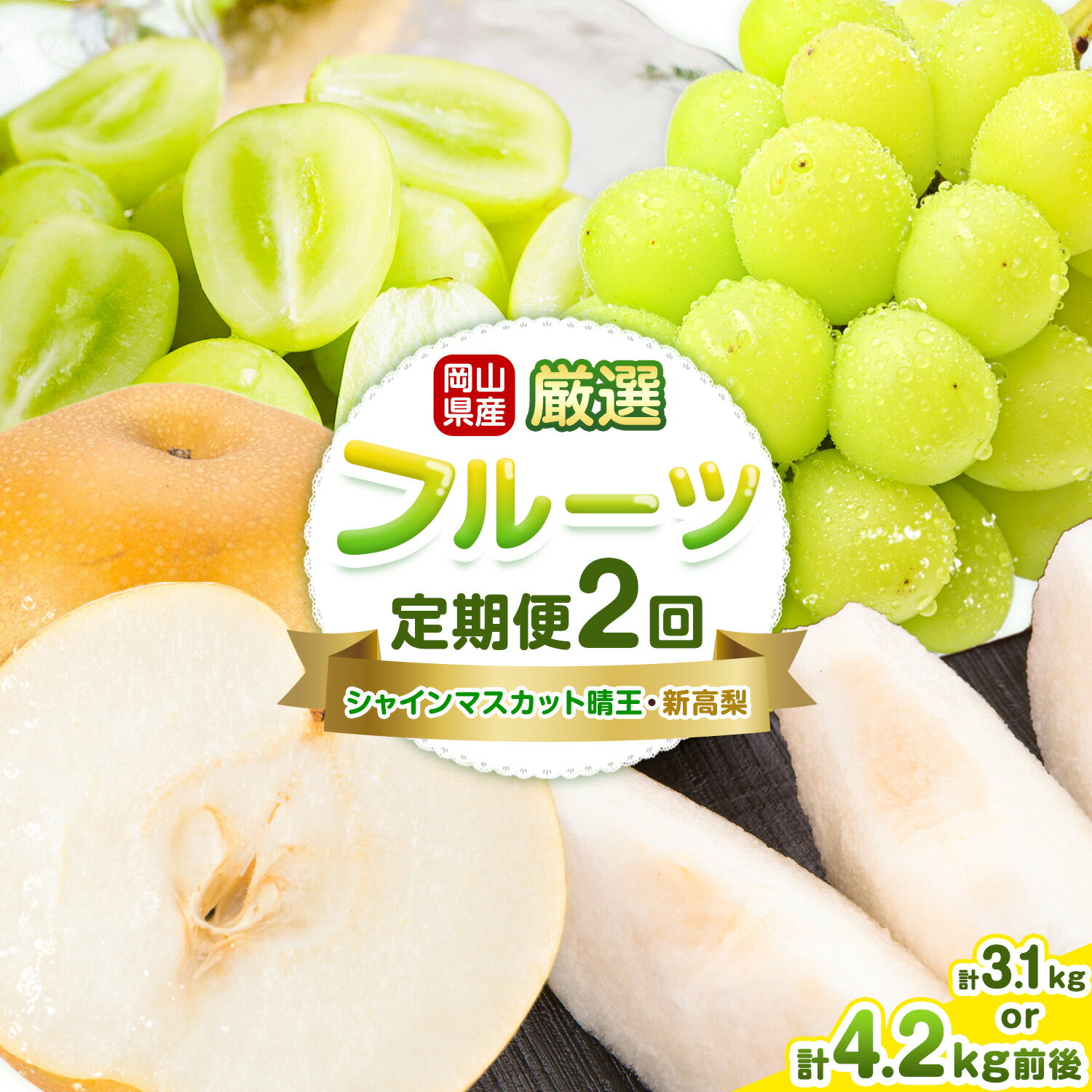 【ふるさと納税】岡山県産 厳選 フルーツ 定期便 2回 シャインマスカット 晴王 新高梨 選べる 計3.1kg前後 計4.2kg前後 株式会社藍《9月上旬-10月下旬頃出荷》 浅口市 岡山県産 シャインマスカット 新高梨 梨 旬 フルーツ 果物 くだもの 送料無料 【配送不可地域あり】