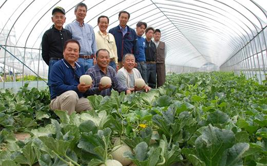 007-1茨城県産アンデスメロン【秀品】約2kg（2玉）