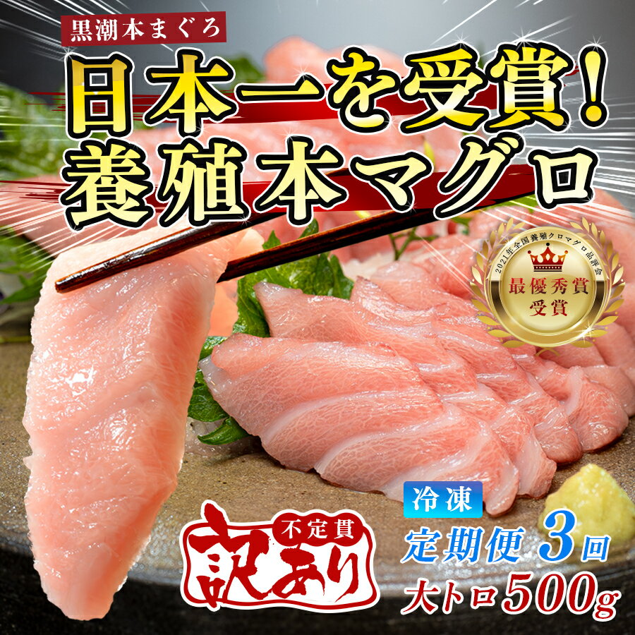 【ふるさと納税】訳あり まぐろ マグロ 本鮪 黒潮本まぐろ 大トロ 定期便 3回 500g × 3回 刺身 さしみ 最優秀賞 全国養殖クロマグロ品評会 受賞 魚 魚介類 海鮮 柵 サク 冷凍 お取り寄せ 産地直送 ギフト 贈答 高知県 大月町