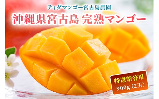 沖縄県宮古島・完熟マンゴー900g（2玉）【特選贈答用】ティダマンゴー宮古島農園（AI002 ）