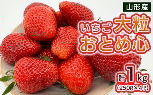 いちご 大粒おとめ心 1kg(250g×4パック)【令和8年産先行予約】FS25-096