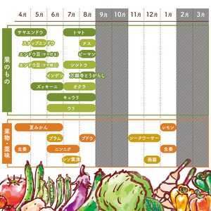 12月発送　栽培期間中農薬・化学肥料不使用で栽培した野菜（7～10種類）と 平飼有精卵のセット mi0036-0017-12