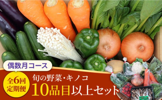 【6回定期便 偶数月コース】野菜定期便 キノコをセット 10品目以上  当日仕入れ当日発送！ / 定期便 野菜 春野菜 夏野菜 秋野菜 冬野菜 旬 きのこ キノコ 産地直送 / 南島原市 / 吉岡青果 [SCZ006]