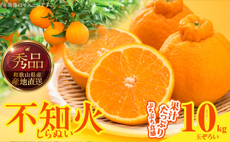 MK1010_不知火 (しらぬい) 秀品 玉ぞろい 箱込 10kg (内容量約9.2kg) 