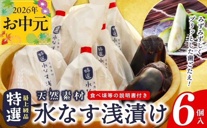 099H4579t 【お中元対応】 「特選最上級品」天然素材水なす浅漬け6個入