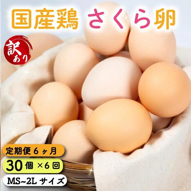 定期便 卵 30個 ( たまご 25個 + 割れ補償 5個 ) 6回 6ヶ月 定期便 国産 鶏 さくら 簡易包装 コクのある 濃い 風味 とれたて 生たまご 滋賀 地産地消 の 飼料米 玉子 産みたて 国産 新鮮 卵かけご飯 大容量 生 卵 鶏 天然 すき焼き 目玉 焼き 滋賀県 竜王町 玉子 鶏卵 生卵 産地直送                                                            