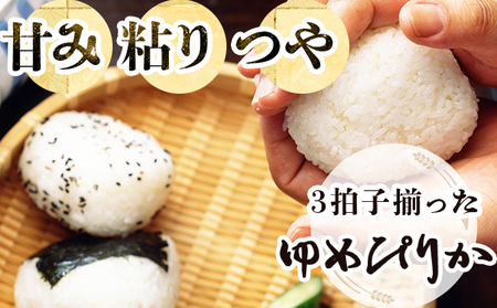 令和5年産！『100%自家生産精米』善生さんの自慢の米 ゆめぴりか５kg※一括発送【06123】