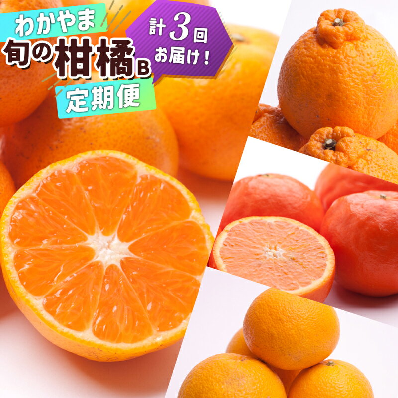 【ふるさと納税】季節の柑橘定期便B 全3回 有田みかん 不知火 はっさく せとか ポンカン カラマンダリン セミノール オレンジ さつき八朔 フルーツ 旬 果汁 濃厚 果実 青果 果物 完熟みかん 柑橘類 贈り物 和歌山県 湯浅町 お取り寄せ 送料無料