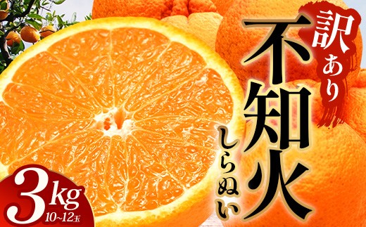 【訳あり】鹿児島県 南大隅町産 不知火(しらぬい) 約3㎏(10～12玉) MS-1｜数量限定 柑橘 みかん ミカン 蜜柑 果物 生果 旬 フルーツ くだもの 国産 産地直送 家庭用 佐多岬