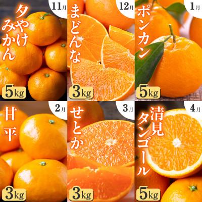 ふるさと納税 八幡浜市 【発送月固定定期便】「こたつの上の冬物語」愛媛限定のまどんなや甘平も届きます!【H49-69】全6回