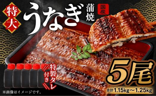 【特大】 国産 うなぎ 蒲焼 5尾（1.15kg ～ 1.25kg）と 特製タレ 5個 セット ｜ 鰻 うなぎ ウナギ 蒲焼 蒲焼き かば焼き うなぎの蒲焼 魚 国産 国産うなぎ うなぎ蒲焼 セイロ蒸し せいろ蒸し タレ付  特性ダレ 魚 さかな 海鮮 魚介 ギフト プレゼント 誕生日 土用の丑 土用の丑の日 お中元  御中元 贈り物 贈答 お礼 お祝い 冷凍 大阪府 阪南市