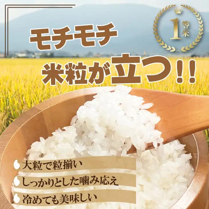 令和7年度産  お米番付 優秀賞米「農薬：栽培期間中不使用」さがびより10kg（5㎏×2袋）しもむら農園  D340-006