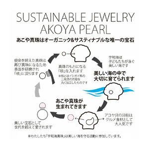 アコヤ 真珠 パール 5珠 ステーション ブレスレット シルバーチェーン 7.0-7.5mm 宇和海真珠 アクセサリー パールブレスレット アコヤ真珠 本真珠 ファッション フォーマル 冠婚葬祭 慶事