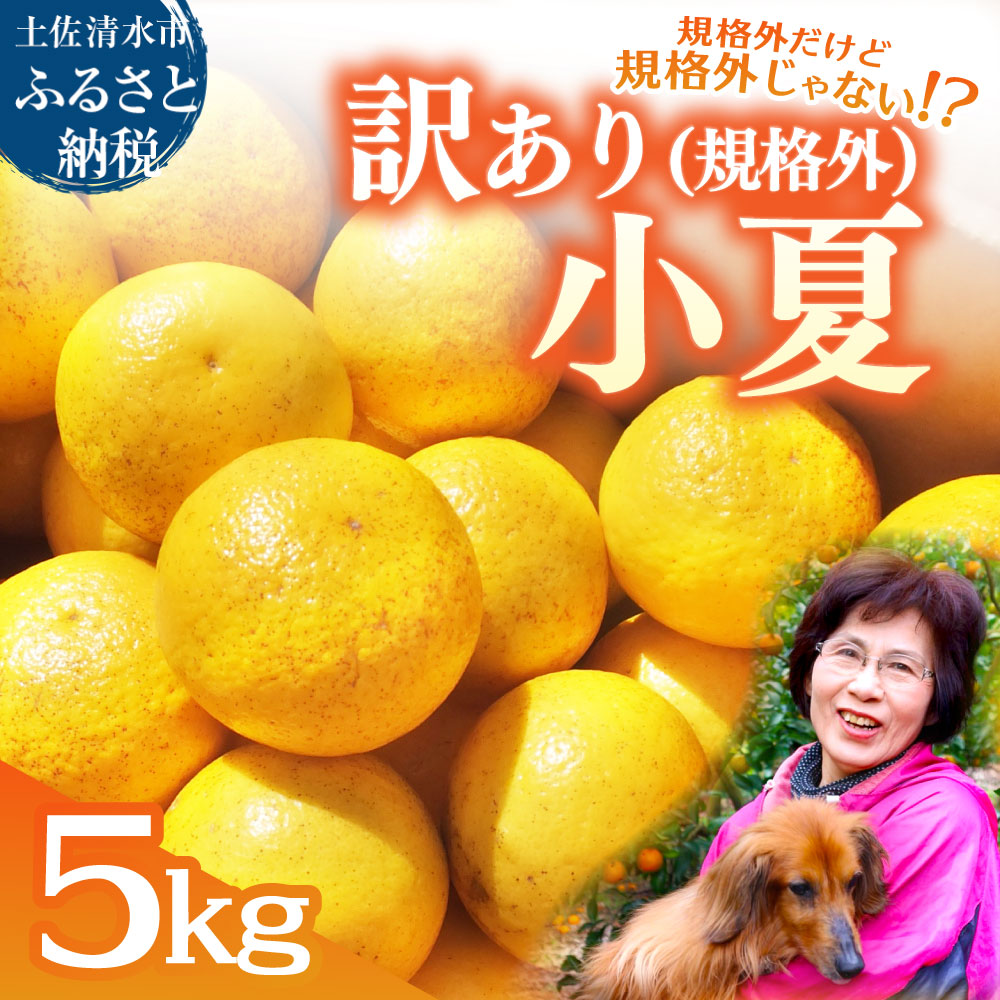 R8.4月中旬以降発送 規格外だけど規格外じゃない!? 訳あり 小夏 ５kg 日向夏 みかん ミカン 柑橘 フルーツ 果物 果実 こなつ コナツ ﾆｭｰｻﾏｰｵﾚﾝｼﾞ おいしい 美味しい ワケアリ 