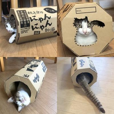 ふるさと納税 笠岡市 秋之介のにゃんにゃん削り節(2ケース)　B-22 |  | 02