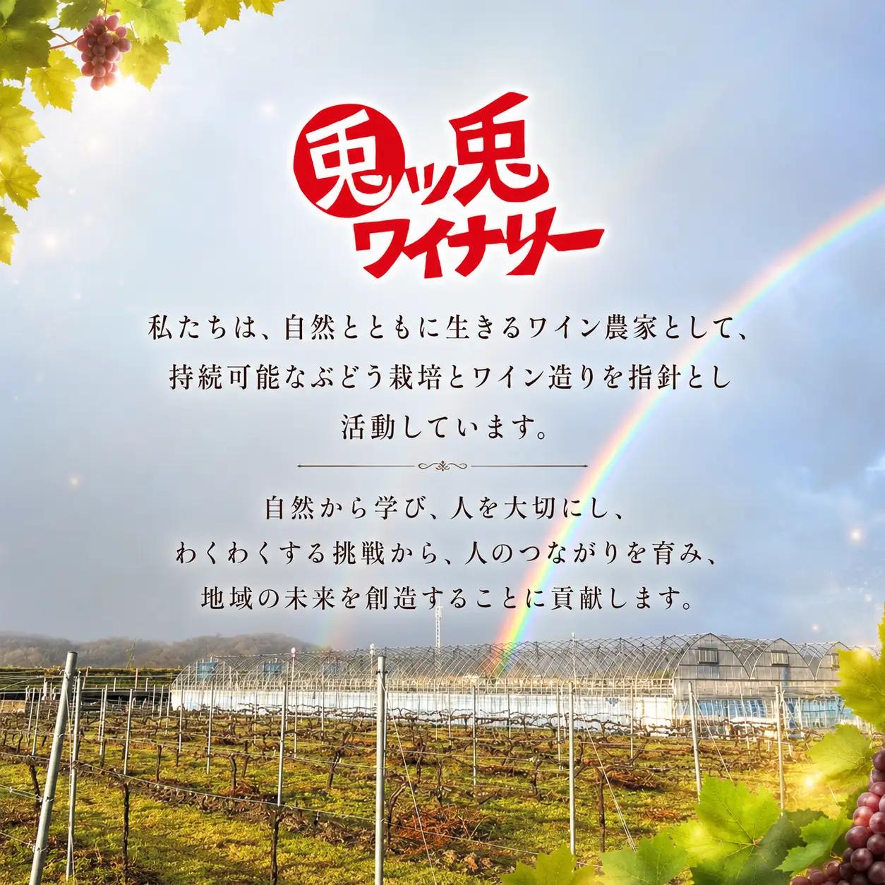 Y1093 【贈答用】八頭町産ぶどう100%使用｜兎ッ兎ワイン｜メルロ（赤ワイン）